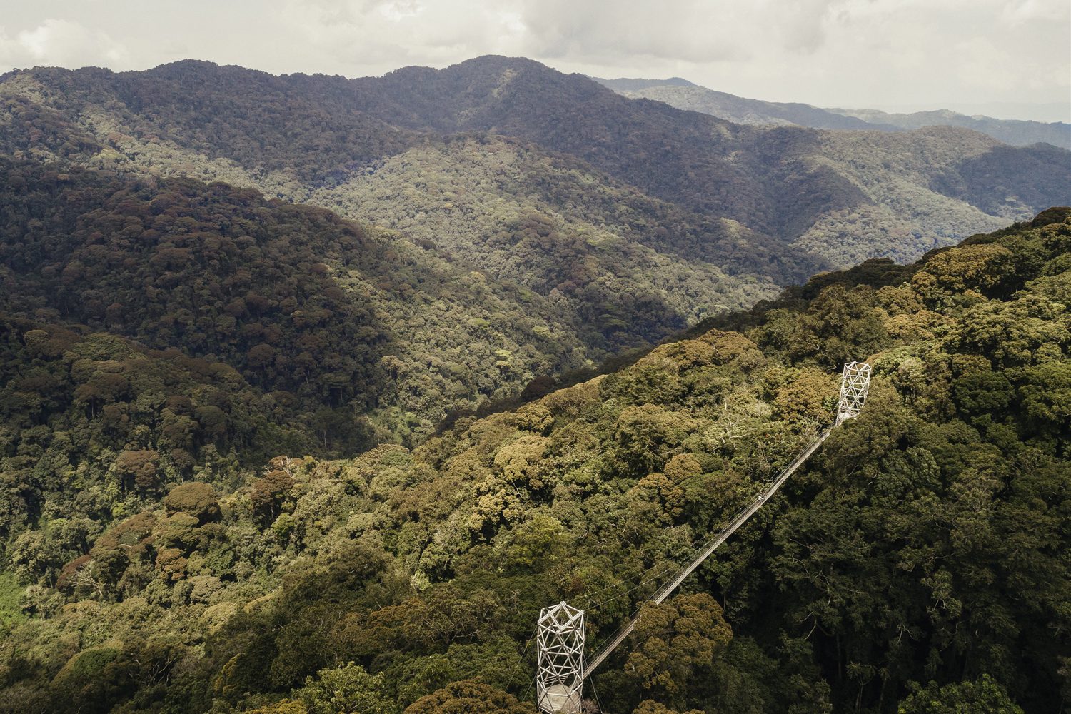 Nyungwe