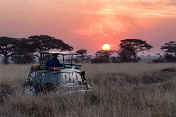 Akagera National Park Night drives