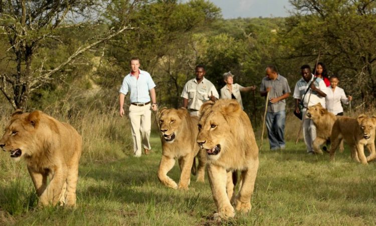 Akagera National Park Behind the scenes