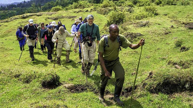 Hiking the volcanoes – Karisimbi, Bisoke