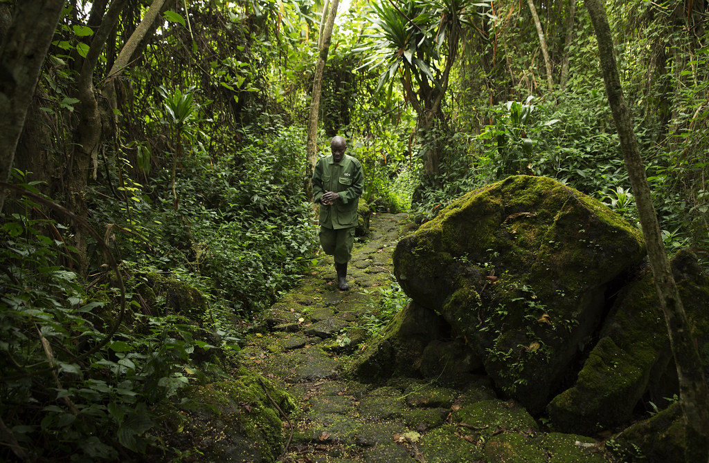 Buhanga Eco Park